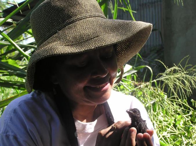 Studying baby birds in Puerto Rico