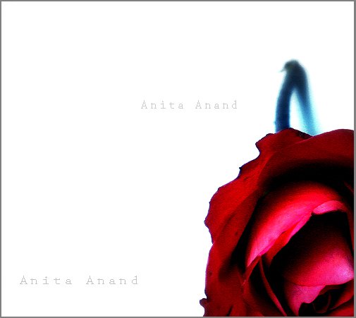 197128_163150167071545_1347493_n